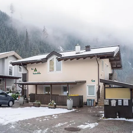 With Terrace In Hollersbach *